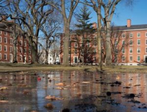 Harvard Üniversitesi, geçmişte köle çalıştırdığı için 100 milyon dolar bağışlayacak