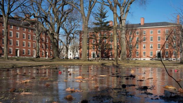 Harvard Üniversitesi, geçmişte köle çalıştırdığı için 100 milyon dolar bağışlayacak