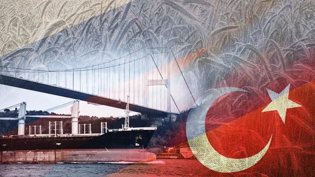 Tahıl koridoru için çözüm İstanbul: BM ile 4’lü toplantı